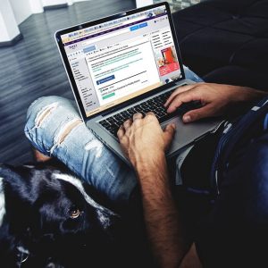 Property Listing Shortcodes - image showing typing at screen from Pixabay